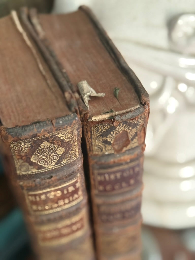 Antique French Folio – Histoire Ecclésiastique, c. 1750s–1770s, Leather-Bound