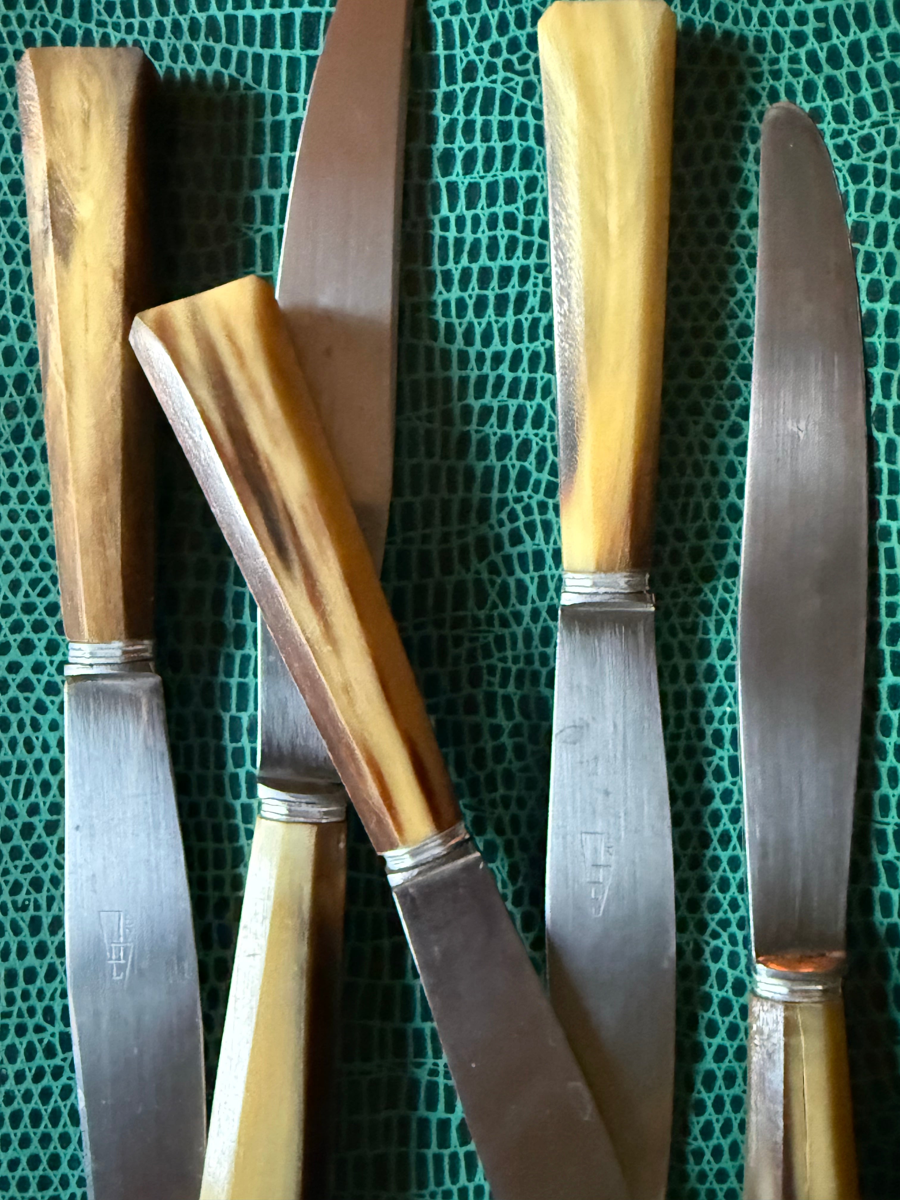 Set of 12 French Faux Horn-Handle Knives in Original Presentation Case